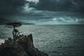 West Coast Sea