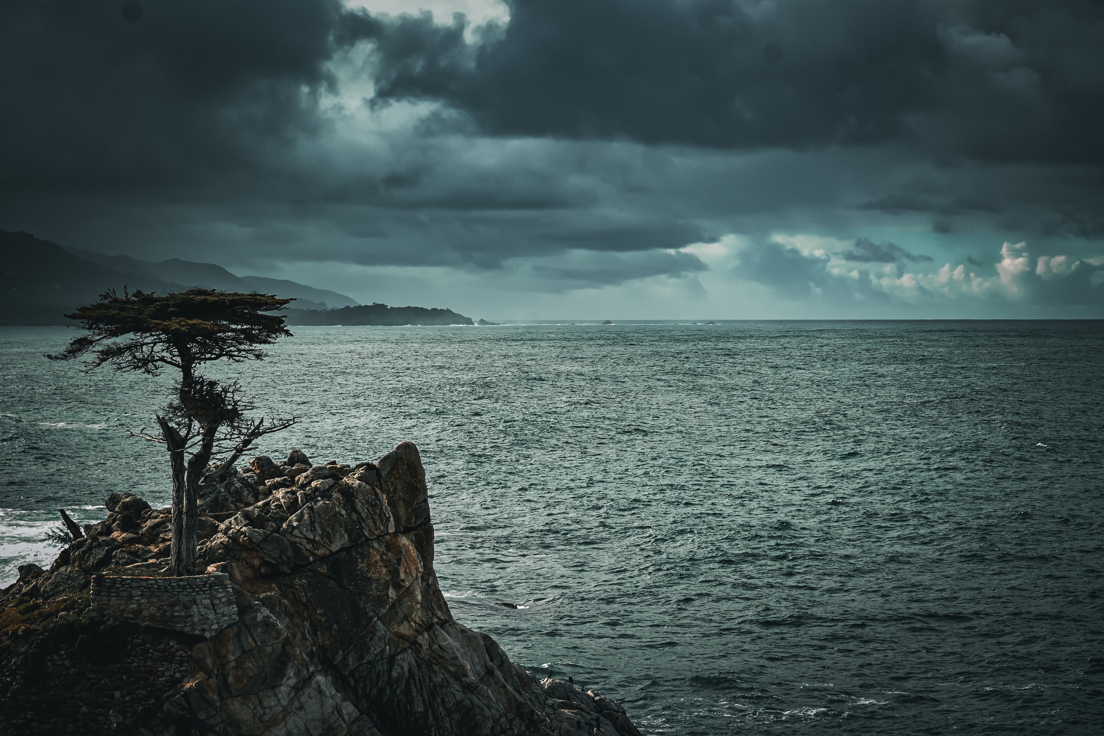 West Coast Sea